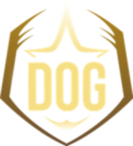 Funny Yellow Dog