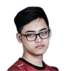 Dreamocel
