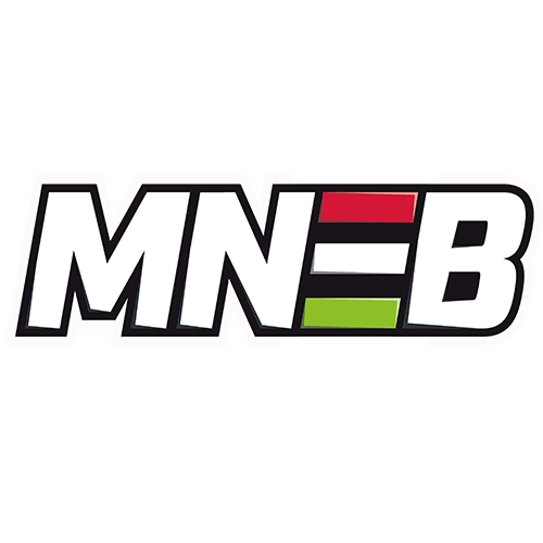 Hungarian National Esport Championship Season 1 Finals