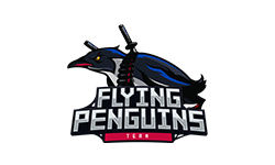 Flying Penguins