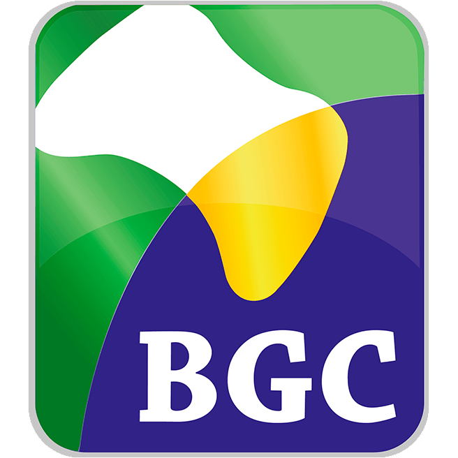Brasil Game Cup 2019