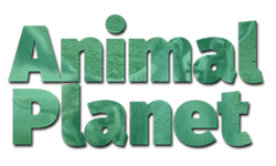 Animal Planet