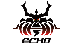 Echo International