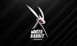 White Rabbit