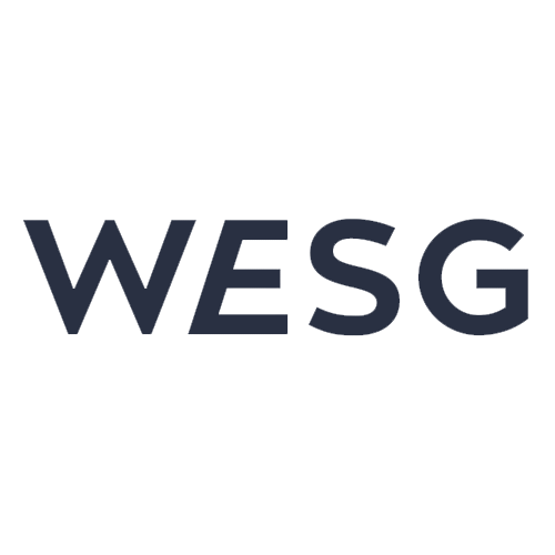 WESG 2019 Indonesia Regional Finals
