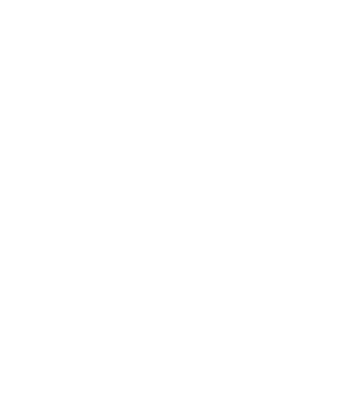 飞鲸-logo