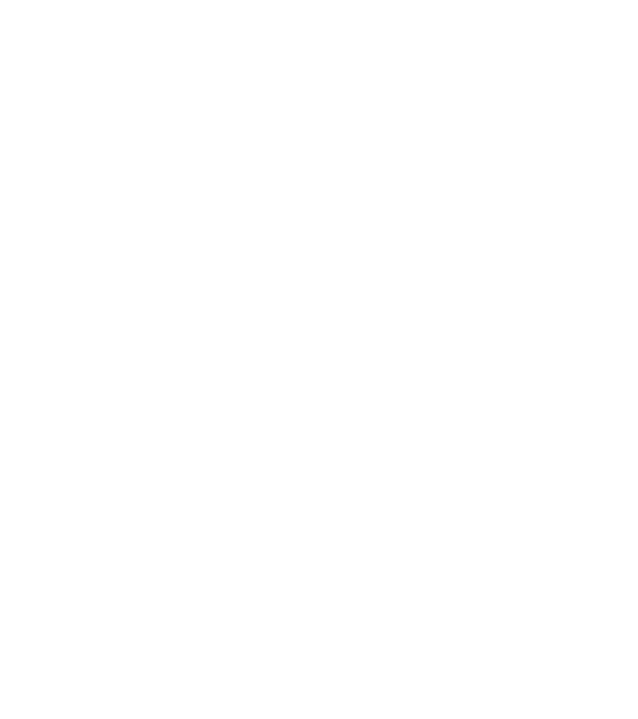飞鲸-logo