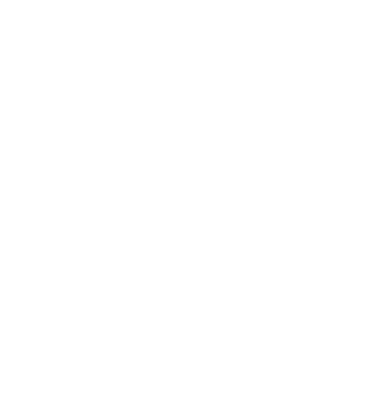 飞鲸-logo