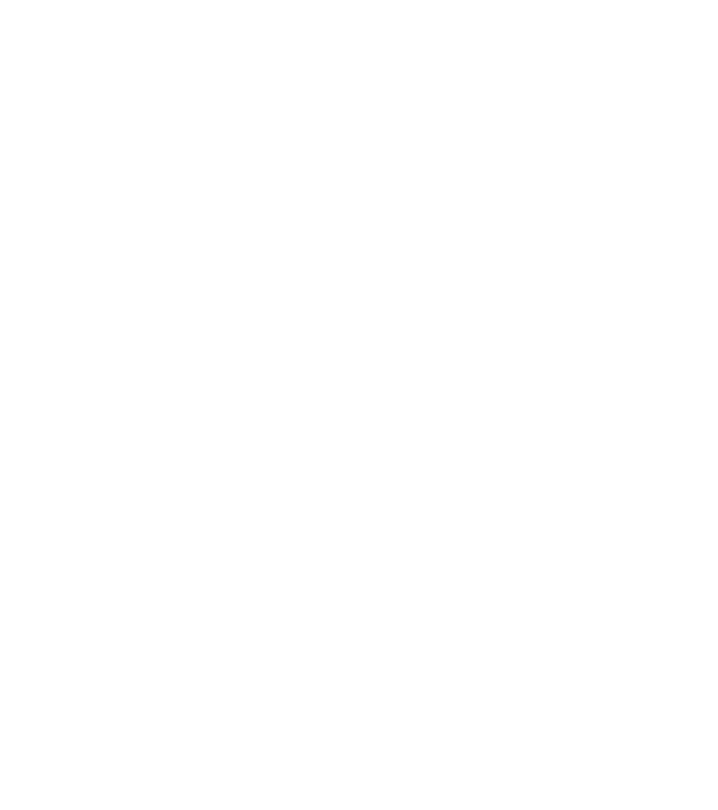 飞鲸-logo